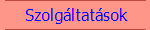 Szolg�ltat�sok